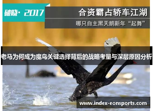 老马为何成为魔鸟关键选择背后的战略考量与深层原因分析