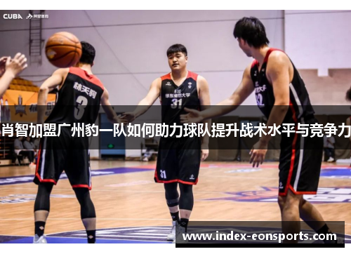 肖智加盟广州豹一队如何助力球队提升战术水平与竞争力 肖智加盟广州豹一队如何助力球队提升战术水平与竞争力
