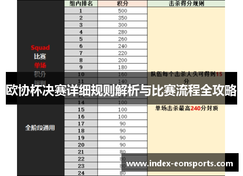 欧协杯决赛详细规则解析与比赛流程全攻略